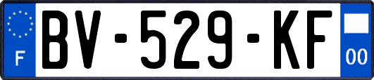 BV-529-KF