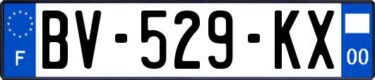 BV-529-KX