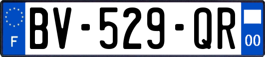 BV-529-QR