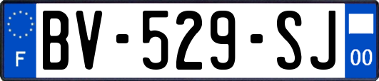 BV-529-SJ