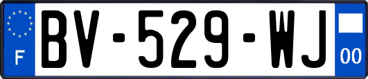 BV-529-WJ