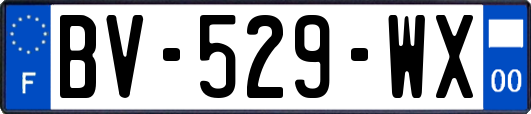 BV-529-WX