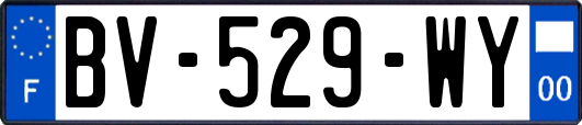 BV-529-WY