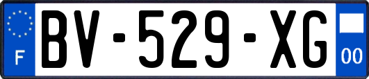 BV-529-XG