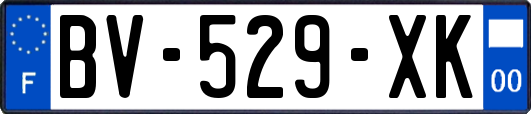 BV-529-XK