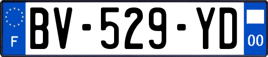 BV-529-YD