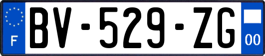 BV-529-ZG