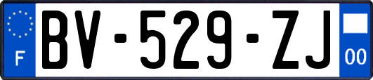 BV-529-ZJ