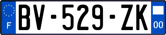 BV-529-ZK