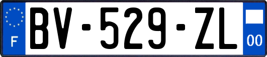 BV-529-ZL