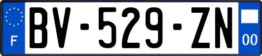 BV-529-ZN