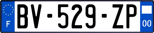 BV-529-ZP