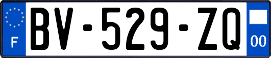 BV-529-ZQ