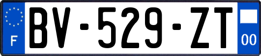 BV-529-ZT