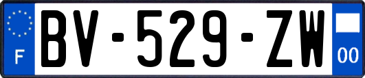 BV-529-ZW