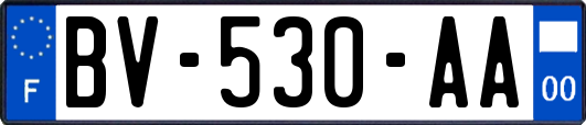 BV-530-AA