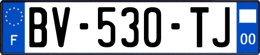 BV-530-TJ