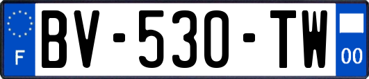 BV-530-TW