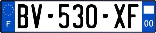 BV-530-XF