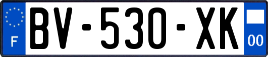 BV-530-XK