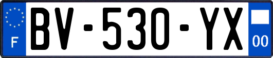 BV-530-YX