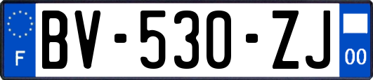 BV-530-ZJ