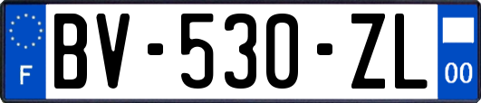 BV-530-ZL