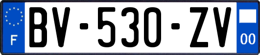 BV-530-ZV