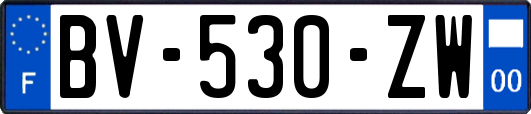 BV-530-ZW