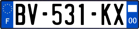 BV-531-KX