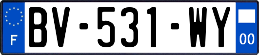 BV-531-WY