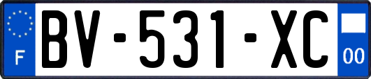 BV-531-XC