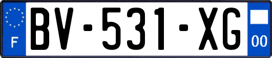 BV-531-XG