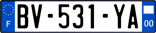 BV-531-YA