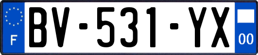 BV-531-YX