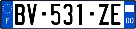 BV-531-ZE