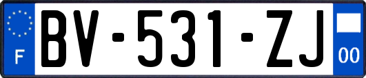 BV-531-ZJ