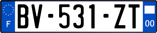 BV-531-ZT