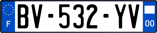 BV-532-YV