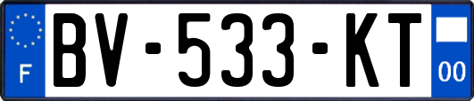BV-533-KT