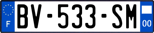 BV-533-SM