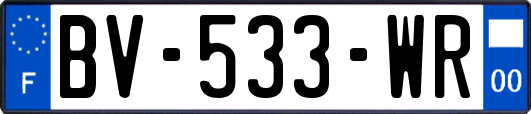 BV-533-WR