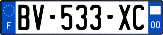 BV-533-XC