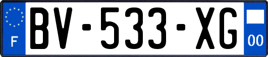 BV-533-XG