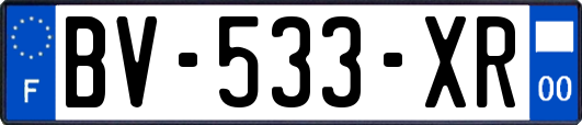 BV-533-XR