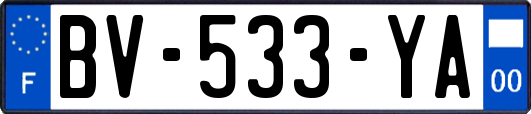 BV-533-YA