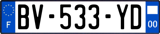 BV-533-YD