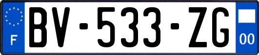 BV-533-ZG