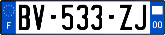 BV-533-ZJ