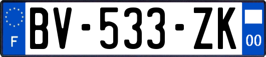 BV-533-ZK